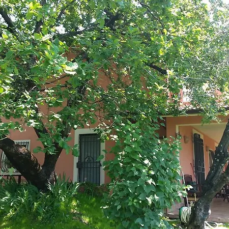 La Quercia * Сарцана